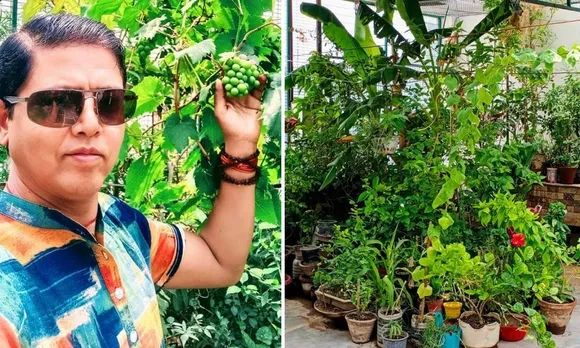 दिल्ली: 80 गज में 1000+ पौधे, 8 राज्यों की मिट्टी है इनकी छत पर