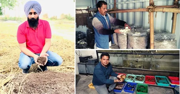 Business Ideas for Farmers