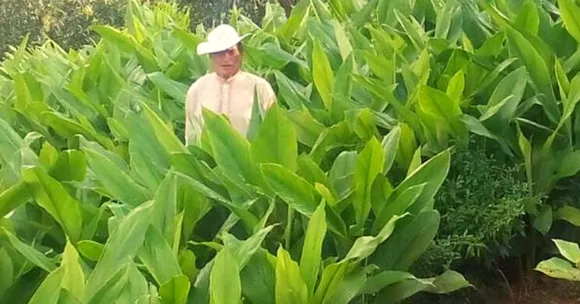 सेना से रिटायर होकर शुरू की खेती, कर्नल से बन गए 'द टर्मरिक मैन ऑफ हिमाचल'
