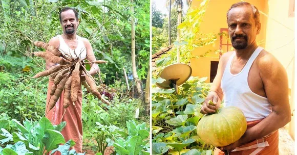 लॉकडाउन में सुबह-शाम किया बगीचे में काम, कटहल, आम, केला सहित लगा दिए 300+ पेड़-पौधे
