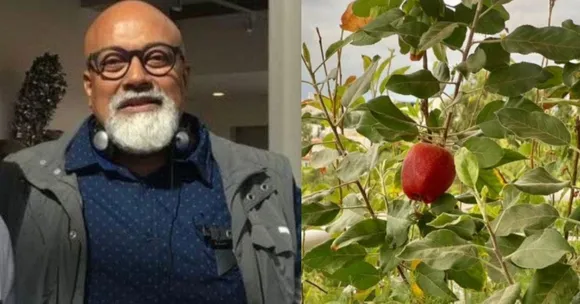 How To Grow Apples