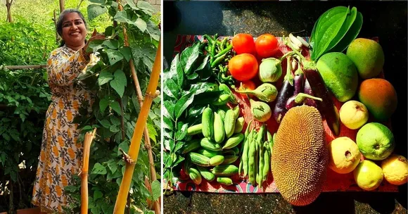 बेंगलुरु: इस घर के बगीचे में इस साल लगे 100 किलो आम, हर हफ्ते मिलती हैं 5 किलो सब्जियां भी