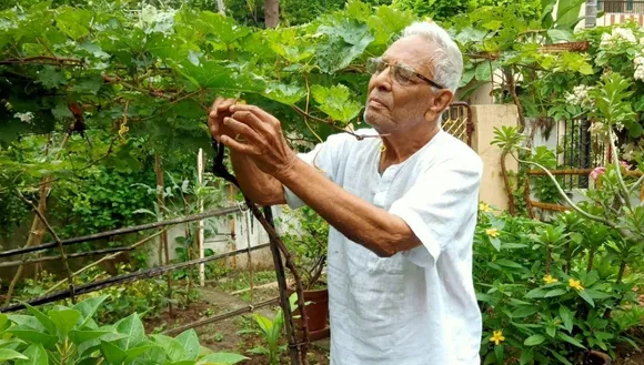 Padmakar Farsole Home Vegetable & Fruits Gardening