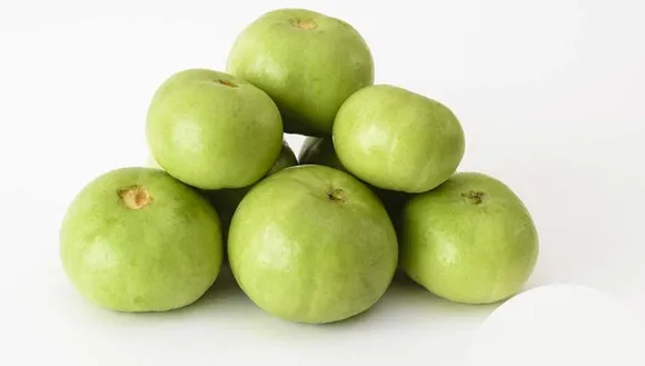 Health Benefits of Tinda
