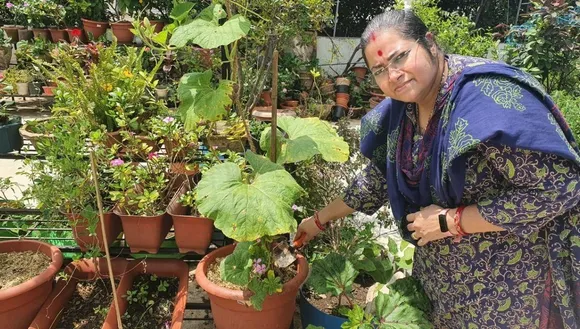 easy to grow vegetables