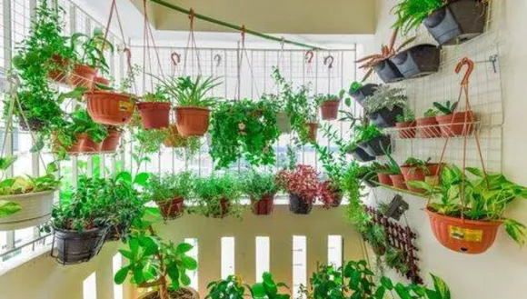 small balcony garden setting