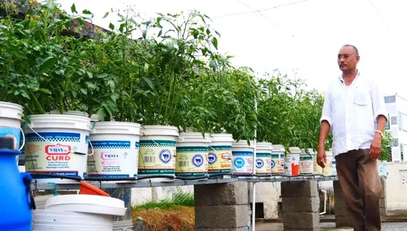 Gardening without soil