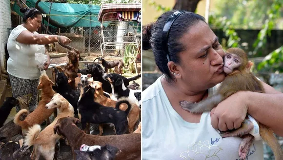 Hakhoo Animal Shelter