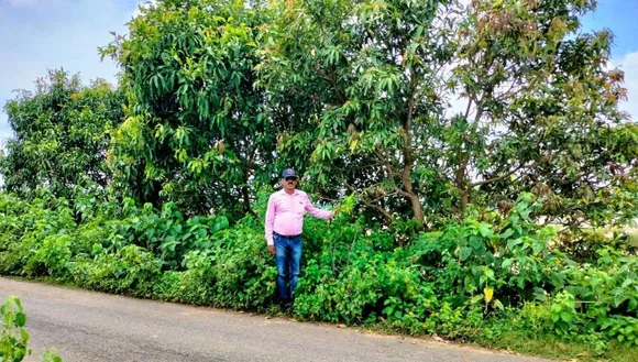 Ex Army man planting trees