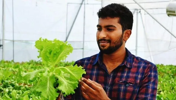Hydroponic Farming Business