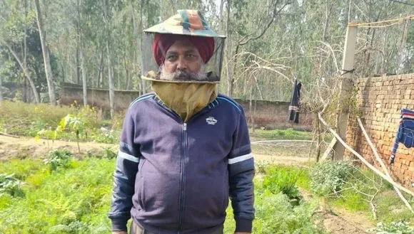 Jaswant Tiwana