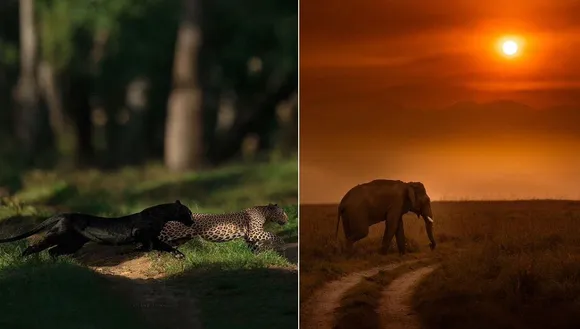Wildlife Sanctuaries in India