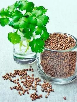 cropped-ramban-is-green-coriander-for-diabetes-1647261453-1647262712.jpg