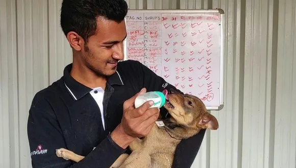 Animal Shelter Spending Lakhs Of His Savings To Take Care Of Stray