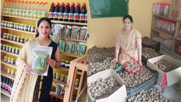 Apple zone, business of Jam, pickle, chatani, squash,