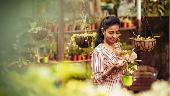 prakriti garden earning from youtube