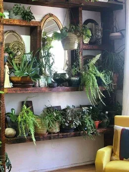 cropped-Indoor-garden-1-1651493831-1651658392.jpg