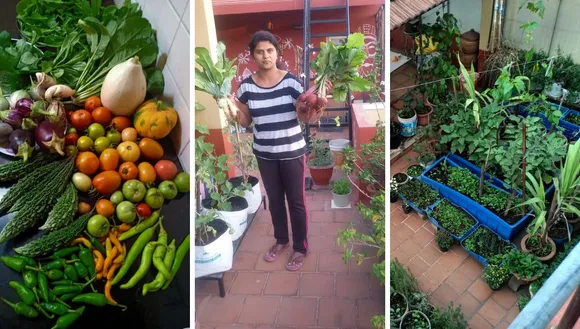 pratima gardening
