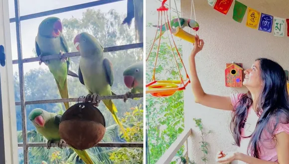 bird lover radhika