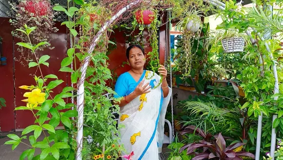 mousoumi gardening