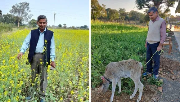 rk paliwal farming