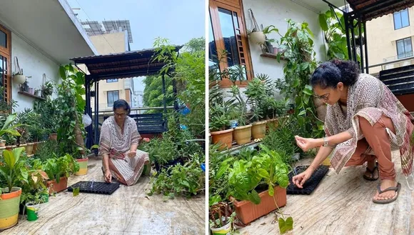 August vegetables