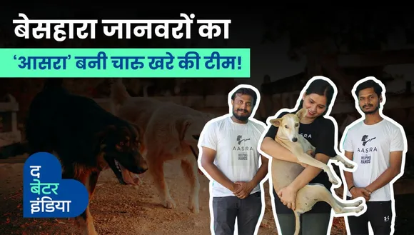 Dog rescue