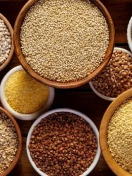 Millet_01_1024x1024-1