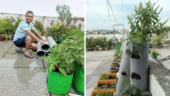 urban gardening