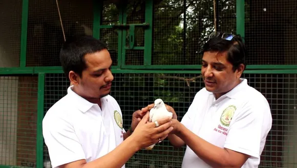 Amit & Abhishek Jain