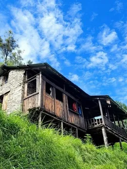 Jungle-hut-4-1-1667830630 (1)