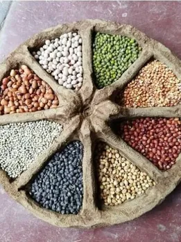 Spice box made of cow dung