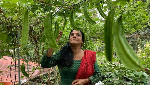 rema terrace garden