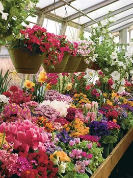 winter-greenhouse-1-700x872 (1) (1)