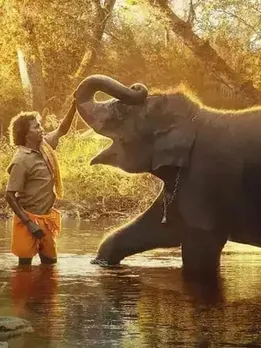 1166474-the-elephant-whisperers-was-the-directorial-debut-of-kartiki-gonsalves-11zon