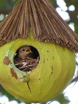 1e441c81136c4490eb668e8e6db55568