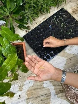 August-vegetables-1-1660631166-1