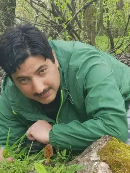 mushrooms-1649076740