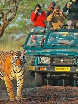 new year celebration (1)