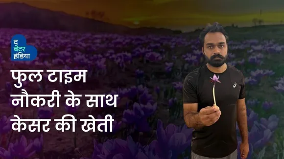 Saffron Farming