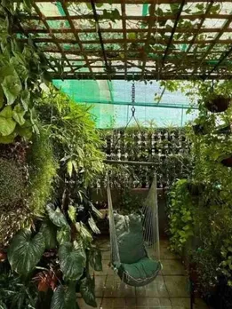 MANASI-PUNE-GARDENING-1-16532968