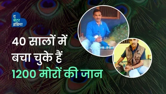 40 सालों से मोरों की जान बचा रहा एक किसान