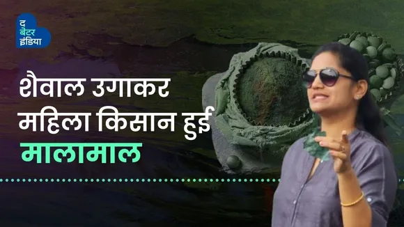  शैवाल उगाकर महिला किसान हुई मालामाल 