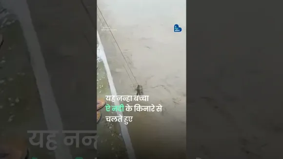 डूबते हुए हाथी के बच्चे को बचाया | Baby Elephant Rescue | Assam Flood | The Better India Hindi