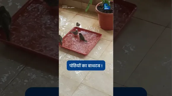 पंछियों का बाथटब | Bird Bathtub | Heatwave | Bird Love | Water for Bird | The Better India Hindi