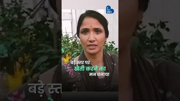 घर की दिवार पर स्ट्रॉबेरी उगाकर कमाएं 70 हजार | Strawberry Farming | Bharti Bhuriya