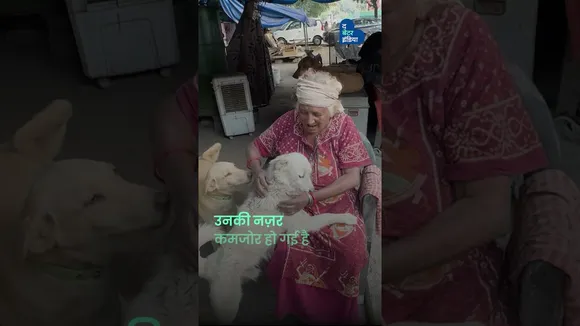 दिल्ली के 200 कुत्तों की माँ है 80 साल की प्रतिमा | Animal Amma | Delhi | Pratima Devi
