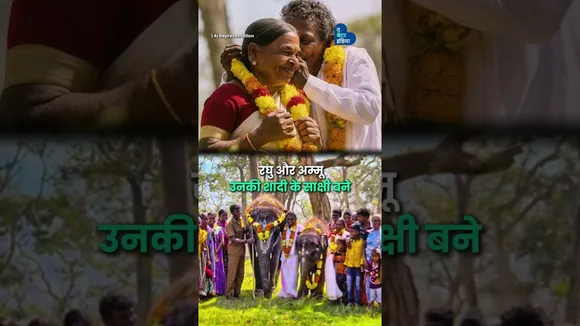 दो नन्हे हाथी और उनके दो साथी | Elephant Whisperers | Bomman and Bellie | Elephant Raghu