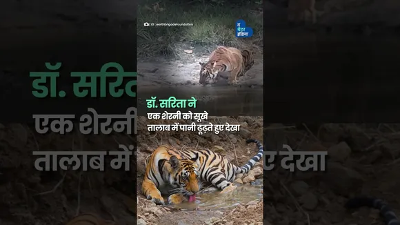 Solar Pumps लगाकर जंगल की प्यास बुझा रहा यह कपल | Solar Pumps | Save Wildlife