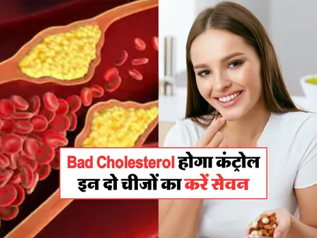 Bad Cholesterol होगा कंट्रोल, इन दो चीजों का करें सेवन